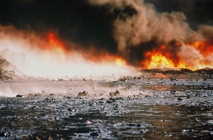 Black Marrow. Photo Copyright Werner Herzog