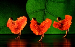 Momix's 'Botanica'