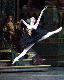 Gillian Murphy in Swan Lake