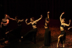 Dancescape 2013