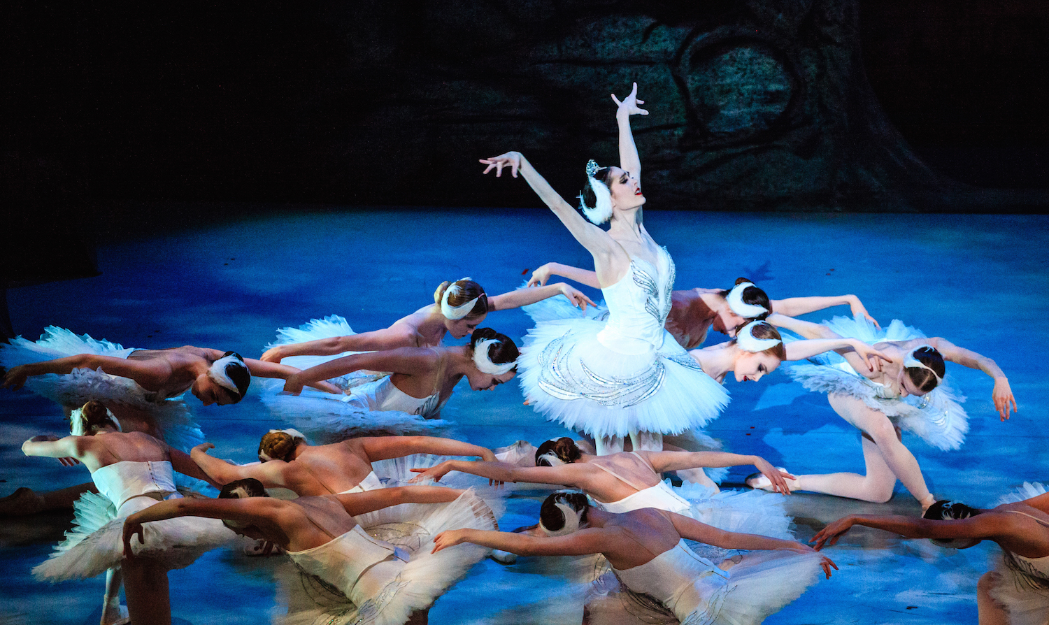 Ballet West Swan Lake