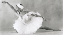 Lauren Anderson in Ben Stevenson's 'Swan Lake'. Photo by Jim Caldwell, courtesy of Houston Ballet