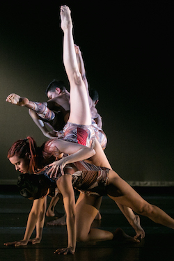 Elisa Monte Dance Company. Photo by Matthew Murphy.