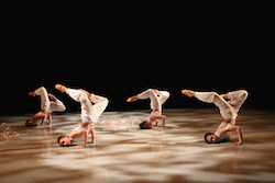 CUNY Dance Initiative