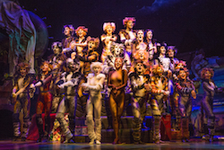 Company of 'CATS' on Broadway Photo by Matthew Murphy.