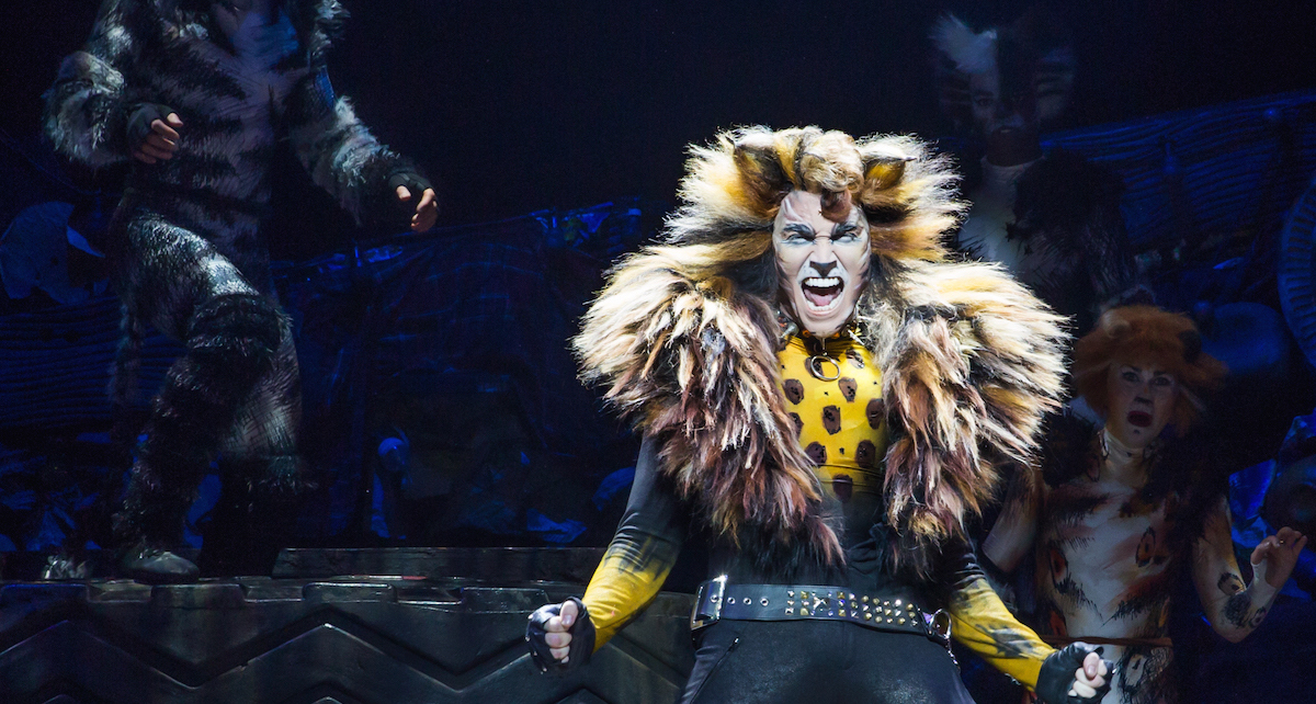 Tyler Hanes as Rum Tug Tugger in CATS on Broadway. Photo by Matthew Murphy