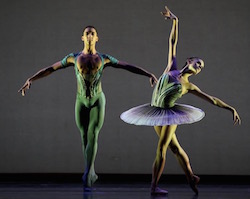 Houston Ballet's Harper Watters. Photo by Amitava Sarkar.