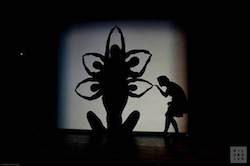 'Shadowland' by Pilobolus. Image courtesy of Sharonne Lipman.