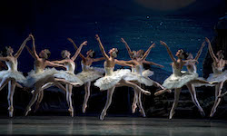 The Swans from ABT's 'Swan Lake'. Photo by Gene Schiavone.