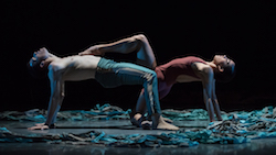 Cincinnati Ballet's Jake Casey and Ana Gallardo in Jennifer Archibald's 'Never.Nest.'. Photo by Peter Mueller.