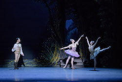 Paulo Arrais, Dusty Button and Misa Kuranaga in Marius Petipa's 'The Sleeping Beauty'. Photo by Liza Voll, courtesy of Boston Ballet.