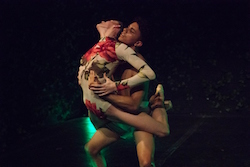 Sheena Annalise's Arch Contemporary Ballet in 'Hues of Memory'. Photo by Steven Pisano.