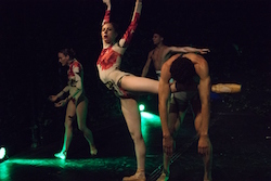 Sheena Annalise's Arch Contemporary Ballet in 'Hues of Memory'. Photo by Steven Pisano.