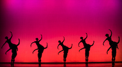 MOMIX in Cactus Couples of 'Opus Cactus'. Photo by Charles Azzopardi.