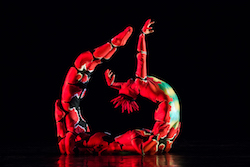 Steven Ezra in Gila Monster of 'Opus Cactus'. Photo by Charles Azzopardi.