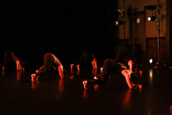 Sasso and Company's 'Deeply Rooted'. Photo by Olivia Blaisdell.