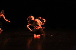 Sasso and Company's 'Deeply Rooted'. Photo by Olivia Blaisdell.