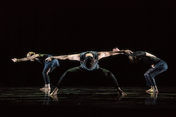 The Harvard Dance Project in 'WILL', choreographed by Shamel Pitts. Photo by Liza Voll Photography.