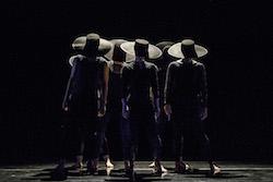 The Harvard Dance Project in 'WILL', choreographed by Shamel Pitts. Photo by Liza Voll Photography.