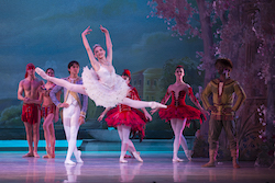 The Washington Ballet in 'The Nutcracker'. Photo by Theo Kossenas.