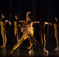 Roddy Coble and Lia Cirio in William Forsythe's 'Artifact'. Photo by Rosalie O'Connor, courtesy of Boston Ballet.