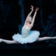 Teresa Reichlen in 'Swan Lake'. Photo by Paul Kolnik.