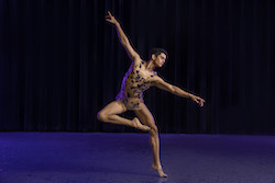 The Joffrey Ballet's Xavier Nuñez in Nicolas Blanc's 'Under the Trees' Voices'. Photo by Todd Rosenberg.