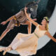 San Jose Dance Theatre's 'A Midsummer Night's Dream'.