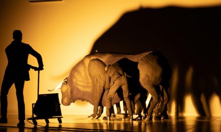 Dimitris Papaioannou's 'Transverse Orientation'. Photo by Julian Mommert.