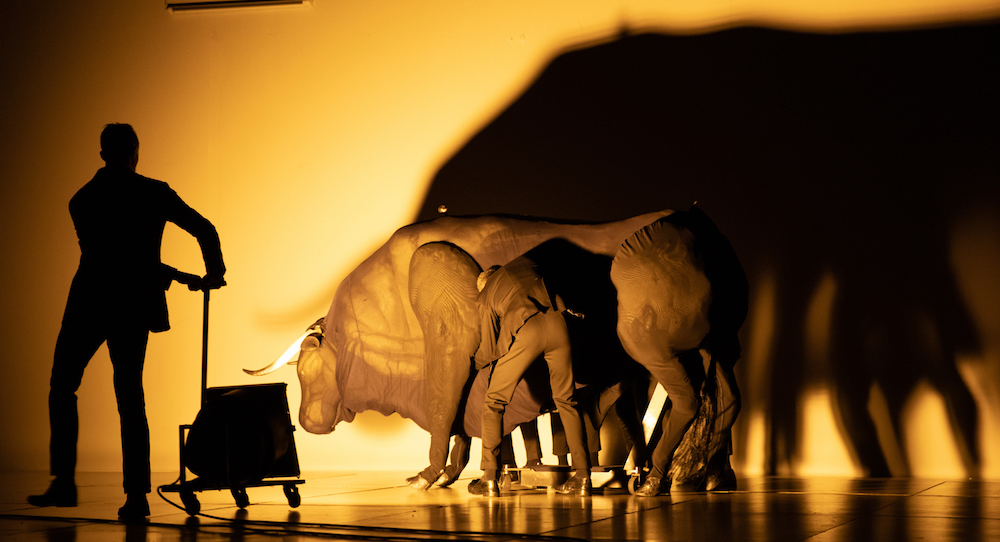 Dimitris Papaioannou's 'Transverse Orientation'. Photo by Julian Mommert.