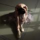 unrecognizable graceful ballet dancer resting on floor