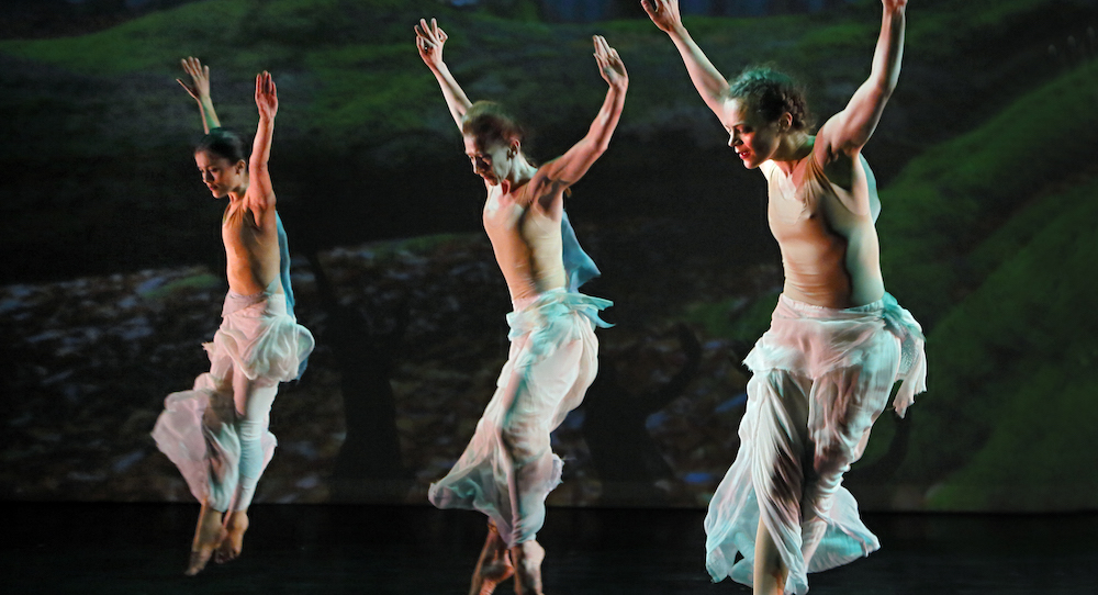 Buglisi Dance Theatre in Jacqulyn Buglisi's 'Moss Anthology: Variation #5'. Photo by Paul B. Goode.
