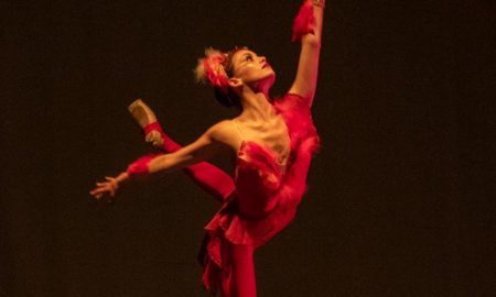 Newport Contemporary Ballet in 'FIREBIRD'. Photo by Eric Hovermale.