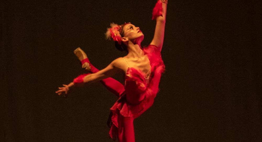 Newport Contemporary Ballet in 'FIREBIRD'. Photo by Eric Hovermale.