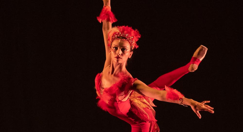 Newport Contemporary Ballet's Margot Aknin in Danielle Genest's 'Firebird'. Photo by Eric Hovermale.