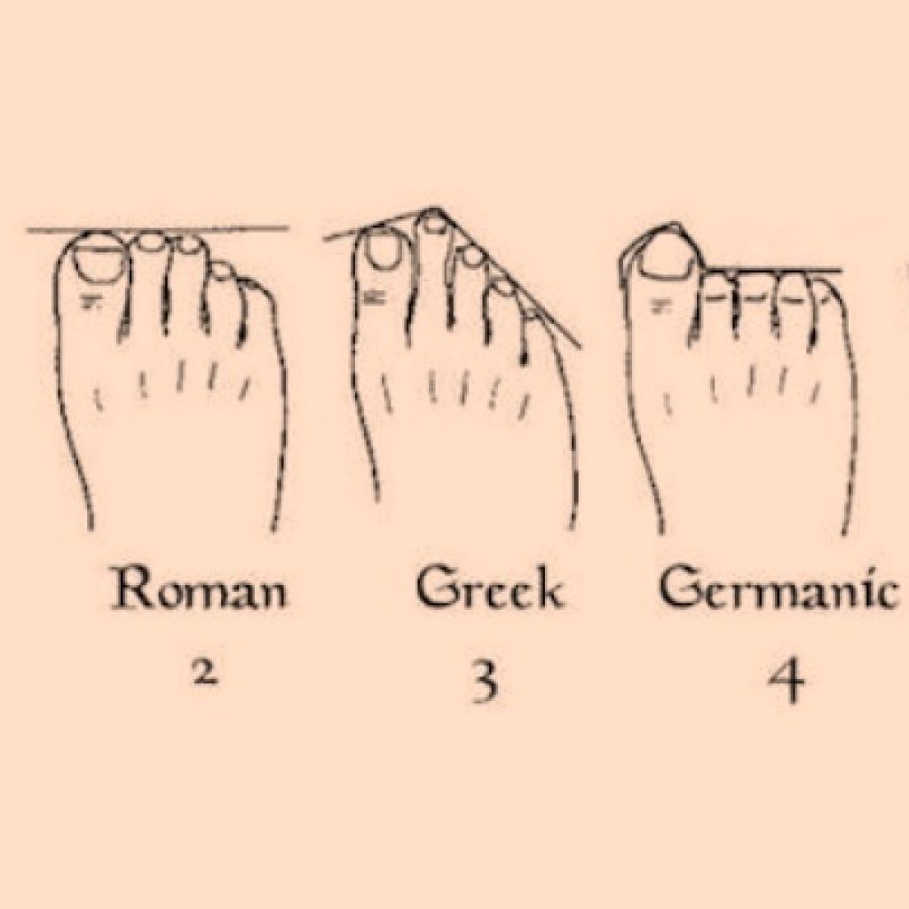 Foot types.