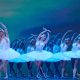 Ballet RI in 'Swan Lake.' Photo by Alan Hubbard.