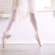 Capezio pointe shoes
