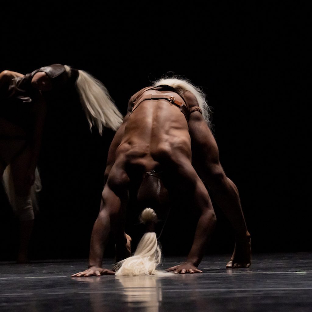 Limón Dance Company's Mariah Gravelin and Ty Morrison in Diego Vega Solorza's 'Jamelgos.' Photo by Hisae Aihara.