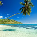 Hawaii. Photo courtesy of 42nd Street Tours.