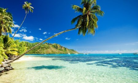 Hawaii. Photo courtesy of 42nd Street Tours.