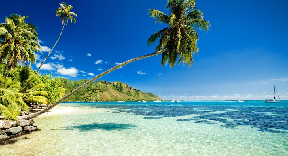 Hawaii. Photo courtesy of 42nd Street Tours.