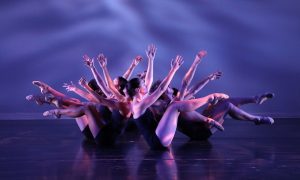 Newport Contemporary Ballet in 'Creatures of Habit.' Photo by Kim Fuller.