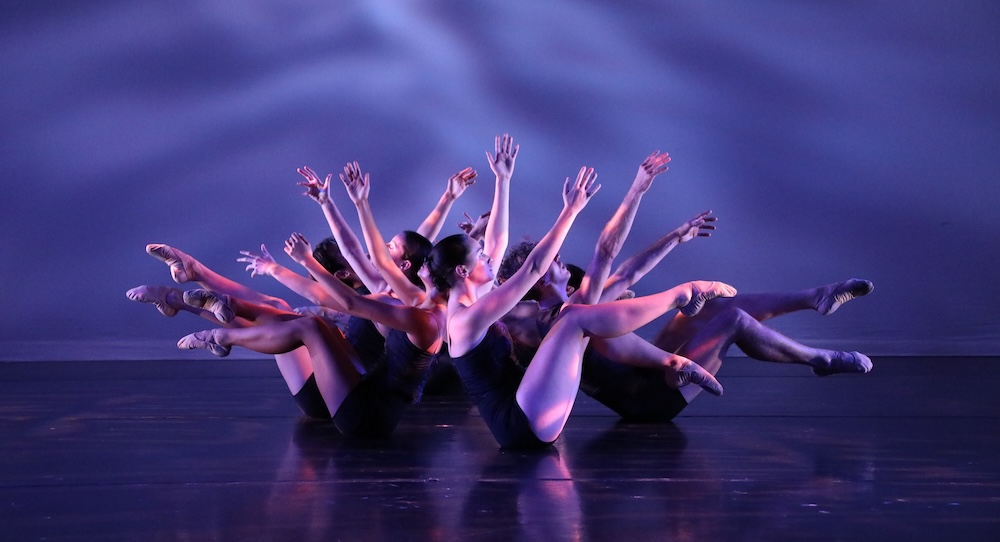 Newport Contemporary Ballet in 'Creatures of Habit.' Photo by Kim Fuller.