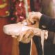 Pointe Shoe Shellac. Photo courtesy of Les Cygnes.