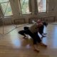 Chelsea Ainsworth and Adia Anselmi in Anselmi's 'Olha pra mim.' Photo courtesy of Ainsworth.
